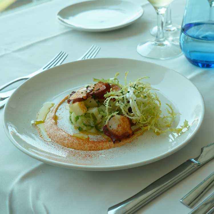 timbal de pulpo